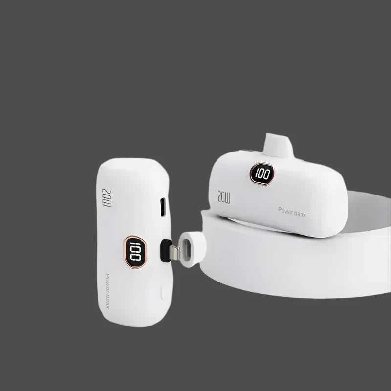 41355142398007|41355142430775|41355142463543