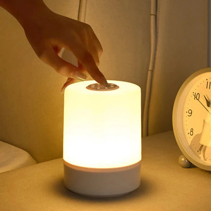 Dimming Touch Night Lamp USB LED Lamp With Switch Sleep Lamp