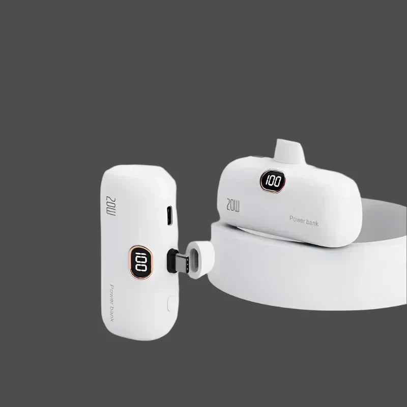 41355142266935|41355142299703|41355142496311