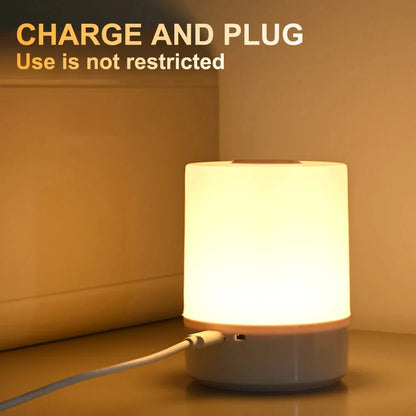 Dimming Touch Night Lamp USB LED Lamp With Switch Sleep Lamp